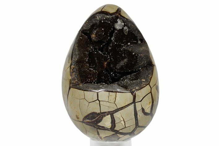 Septarian Dragon Egg Geode - Sparkly Black Crystals #359076